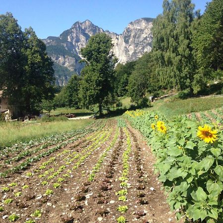 Magre all' Adige Bauernhof Hof Unternberg 아파트 외부 사진