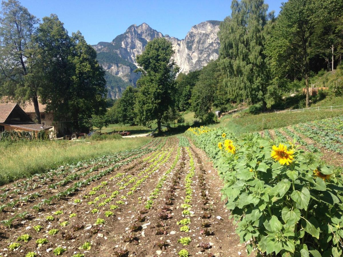 Magre all' Adige Bauernhof Hof Unternberg 아파트 외부 사진
