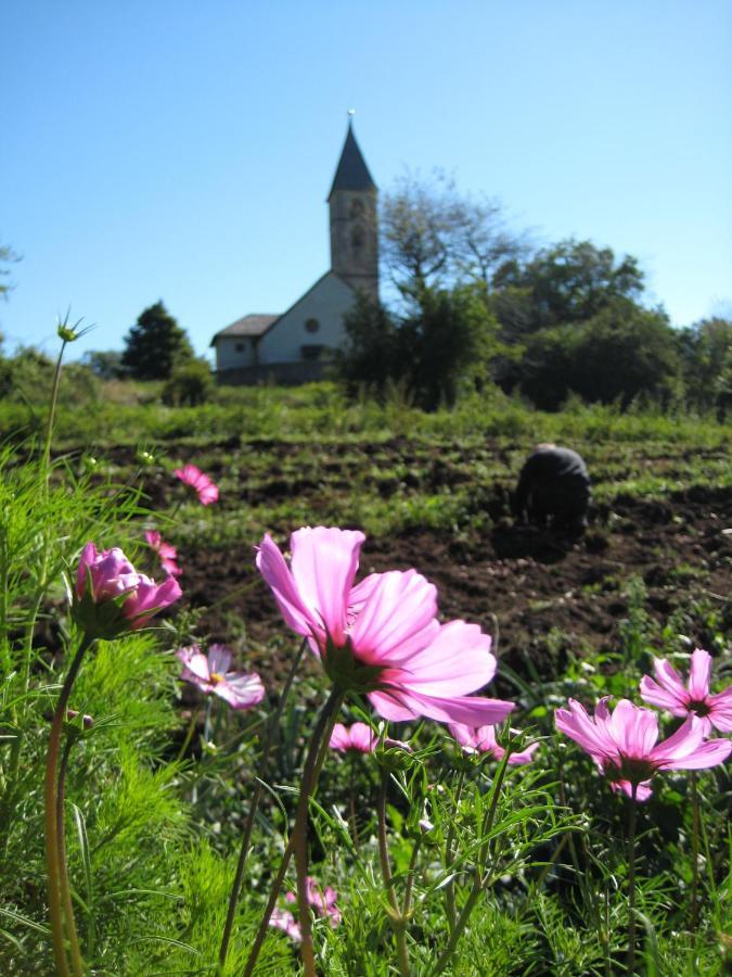 Magre all' Adige Bauernhof Hof Unternberg 아파트 외부 사진