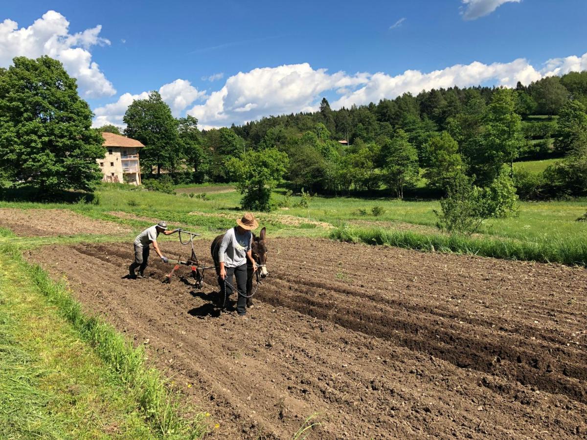 Magre all' Adige Bauernhof Hof Unternberg 아파트 외부 사진